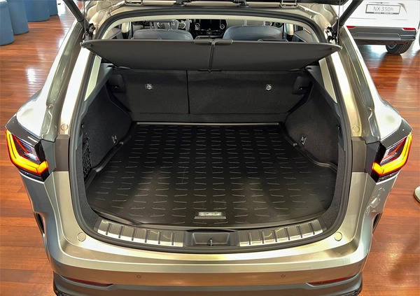 Lexus NX cena 238146 przebieg: 1, rok produkcji 2023 z Pyzdry małe 92